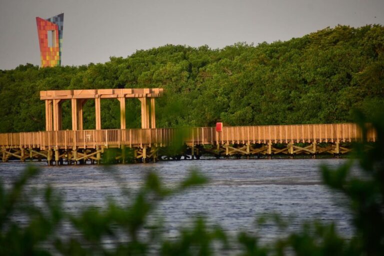 Ciénega de Mallorquín